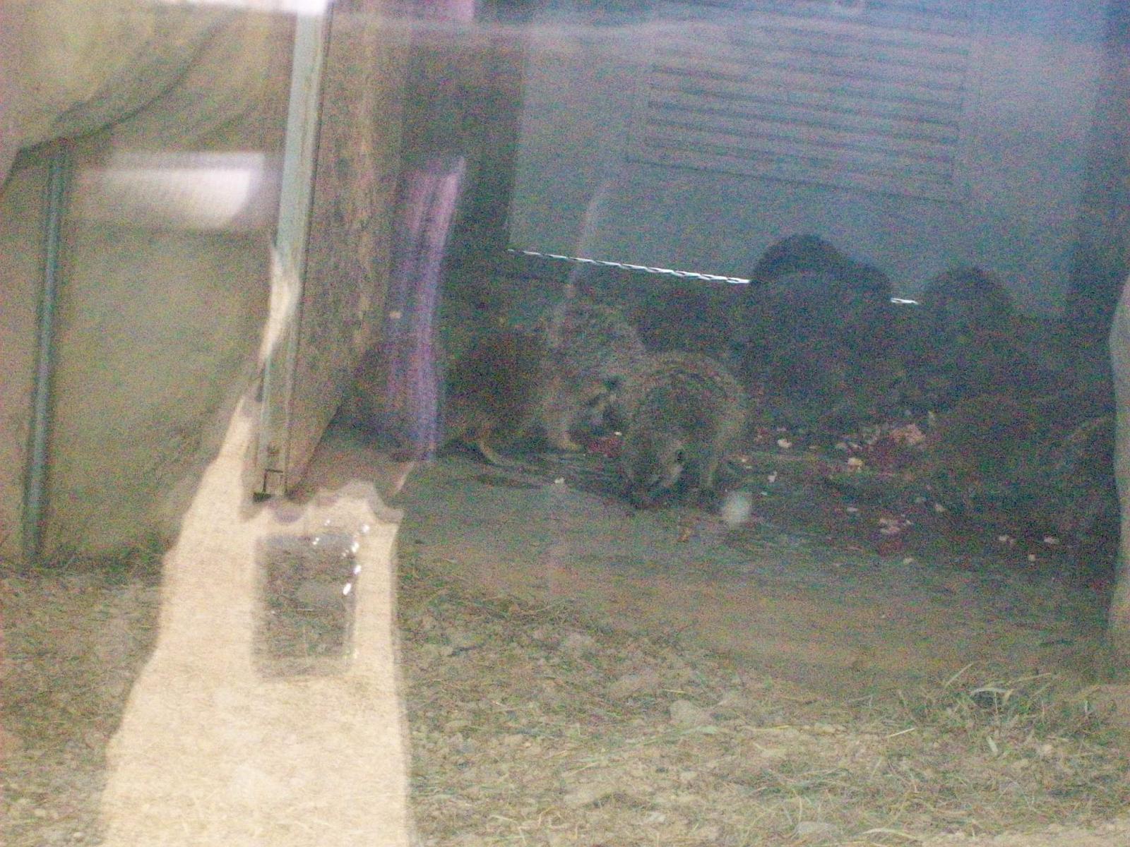 Zoom 18.10.2008-171.jpg